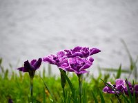 DSC 0216