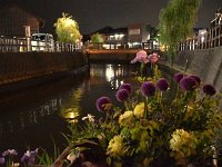 よく。見つけた・・・このアングル！！
