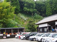 山全体に紫陽花が！