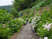 何を撮ろうか！？