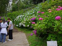 中国の若者たちも