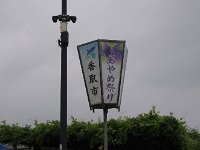IMG 8732