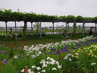 カメラガールも夢中でシャッター！
