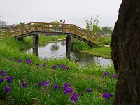 IMG 8747