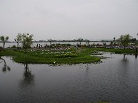 如何にも「水郷」