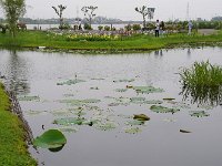 IMG 8761