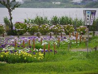 この名札の数！！　　なかなか区別が着きません。