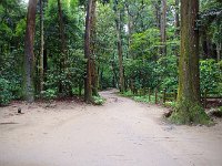 IMG 8899