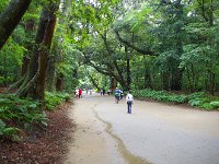 奥深い・・・伊勢神宮を思い出します
