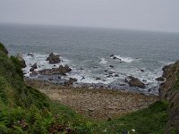 IMG 8965