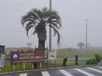 海辺に散策