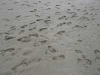 IMG 9057
