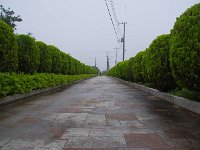素敵なアプローチ