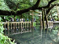 御手洗池・・・卜伝が修行したとか？