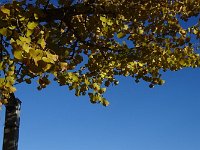 DSC00078