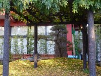 DSC00101