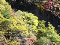 DSC00128