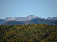DSC 0028  県境の三国山？