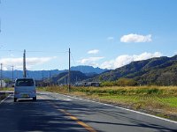 IMG 0994