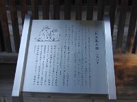 IMG 1045