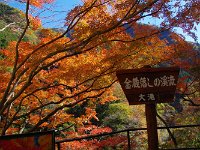 IMG 1129  名所ですね