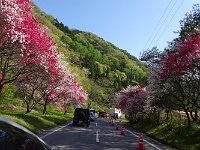 DSC07213