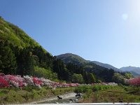 DSC07231