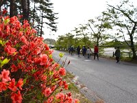 朝の散歩