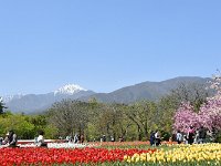 DSC 0213