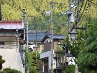 何時もの散歩・・・うら寂し感じがしました
