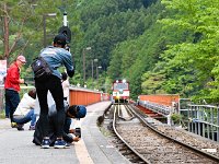 こちらにも、たくさん！