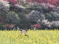 良い感じ❣