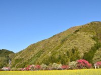 DSC 0489