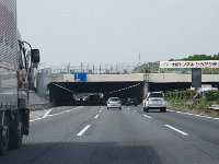 IMG 6978