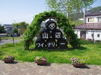 IMG 7059