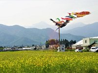IMG 7083