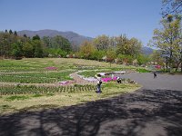 広大な敷地