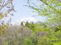 IMG 7157