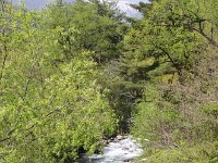 川を渡って