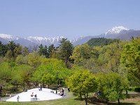 IMG 7167