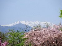 IMG 7253