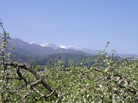 IMG 7311