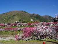 IMG 7345
