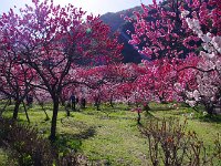 朝日がイイね！