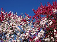 青空が素晴らし！！
