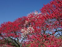 IMG 7391