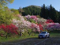 IMG 7483