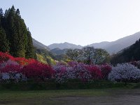 IMG 7484