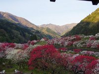 IMG 7492