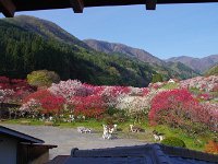 IMG 7496